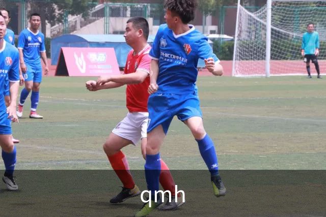 qmh公司简介图片